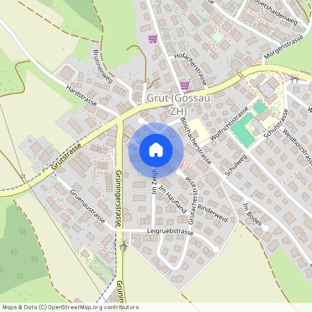 Im Zelgli 14, 8624 Grüt (Gossau ZH)