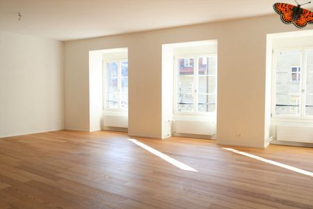 SPACIOUS 5 ½ BEDROOM - CITY HEART - Photo 4