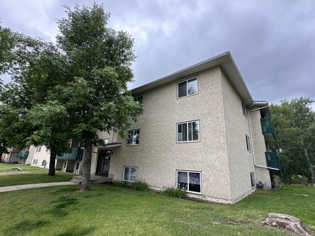 RENOVATED 1-Bedroom Apartment - SMALL PET FRIENDLY! - Photo 4