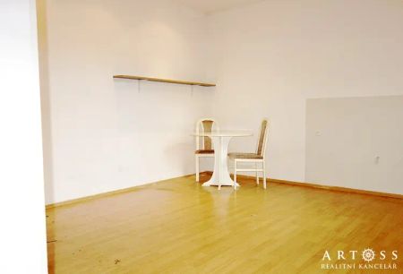 (M4) Pronájem krásného bytu 1+kk, Mostecká ul., Brno Husovice, 28 m - Photo 4