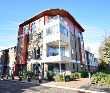 3 bed apartment to rent in Upton Road, Norwich, NR4 - Photo 6