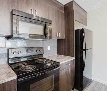 4plex in Modern 3 Bed / 1.5 Bath Suite – Spacious & Bright! - Photo 3