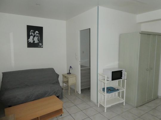 Location appartement à Saint-Pol-de-Léon 19.92m² - Photo 1