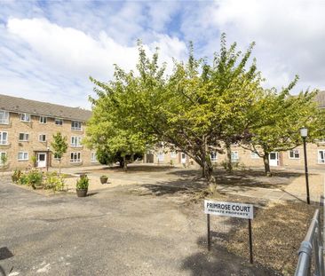 Primrose Court, Hydethorpe Road, SW12 - Photo 6