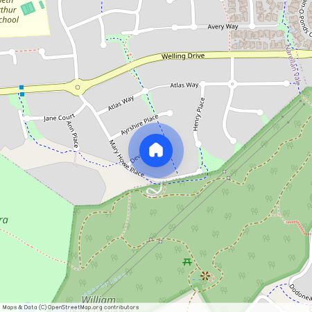 8 Devon Place, NSW 2567, Narellan Vale