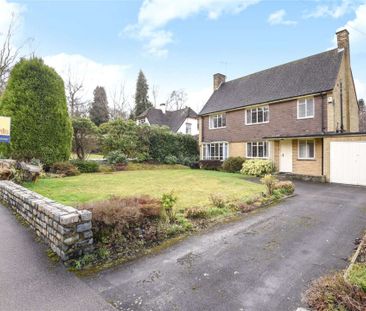 Three bedroom detached family home benefitting from a substantial g... - Photo 3