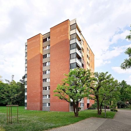 1 Zimmer-Wohnung in Basel mieten - Foto 3