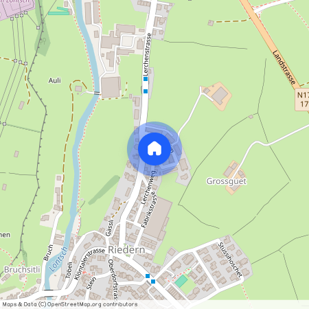 8750, Riedern, Neuheim