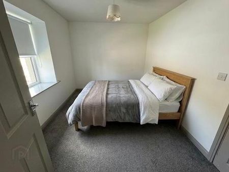 113 Knowehead Road, Broughshane, Ballymena, BT43 7JD - Photo 4