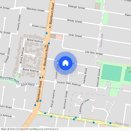 12 Monash Grove, Vic 3130, Blackburn South