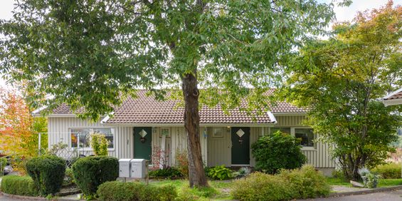 Ölslanda Gärde 3 - Photo 3