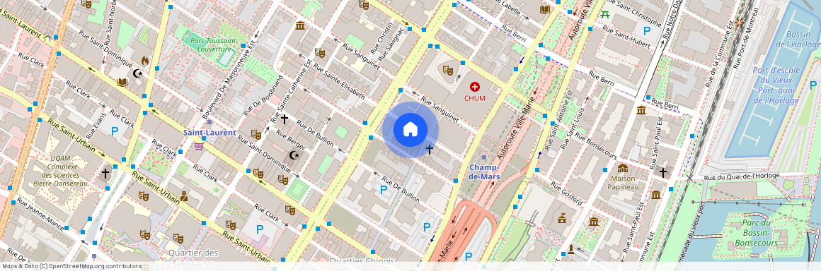 1060 Rue Ste-Élisabeth, app.4, H2X 3V3, H2X 3V3, Montréal