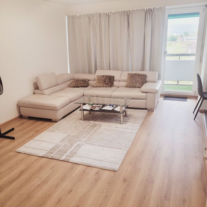 16 m² - Photo 1