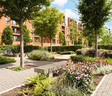 1 bedroom apartment to rent - Photo 2