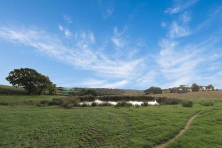 Morchard Bishop, Crediton - Photo 2