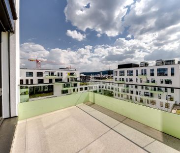 Genius apartment with very large terrace - Photo 4