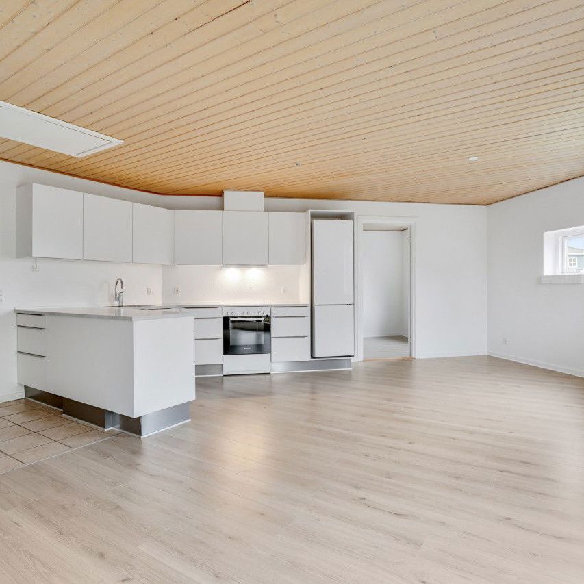 Moderniserede lejligheder i naturskønt og børnevenligt område - Photo 1