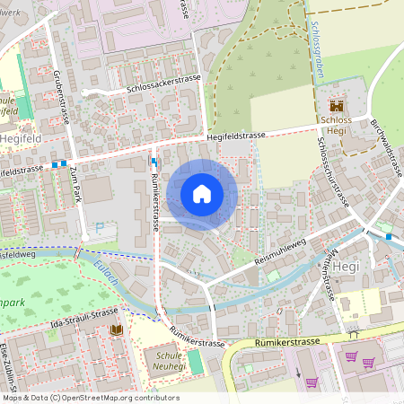 8409, Winterthur, Reismühlestrasse, 5