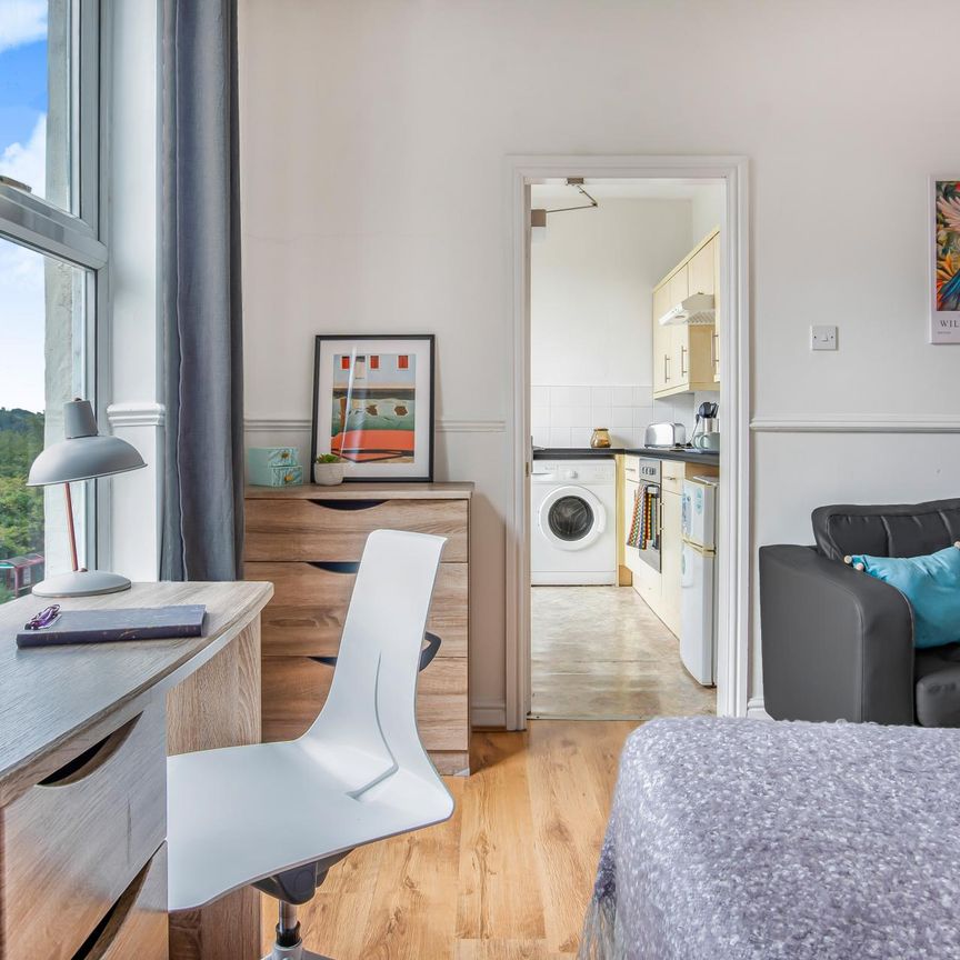 252 Vinery Road Leeds - LS4 2LA - Photo 1