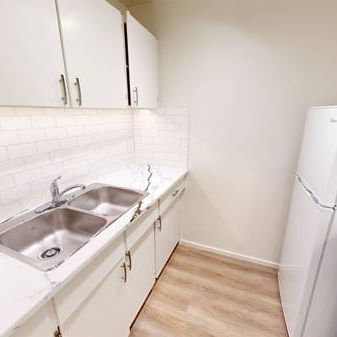 Renovated 1BD+Large Den +1 Bath - Stanley Manor - Photo 4