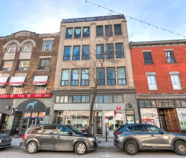 Condo for rent, Montréal (Le Plateau-Mont-Royal) - Photo 6