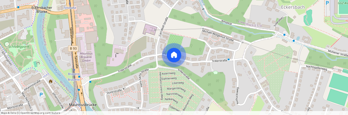 Trillerstraße, 08066 Zwickau