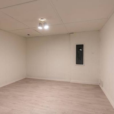 spacious 1 bedroom basement suite - Photo 3