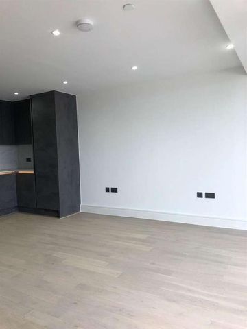 Colts Village Apartments, Barking Road, London, E6 - Photo 4