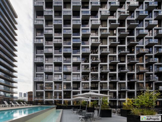 235, rue Young - 3 1/2 - Griffin Square, Griffintown à louer - Photo 1
