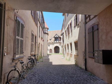 APPARTEMENT COLMAR - Photo 2