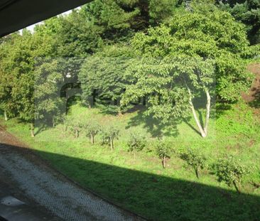 Apartamento T2 em Braga - Foto 4