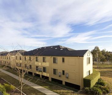 26/22 Lampard Circuit, Bruce ACT 2617 - Apartment For Rent | Domain - Photo 3