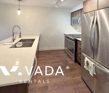 1 Bedroom Apartment For Rent in Burnaby - Photo 4