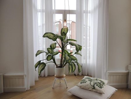 Copernicusstraat 251 DHG-7278, 2561VZ, Den Haag - Photo 4