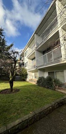 Bachelor apartment in the heart of Kitsilano - Photo 1