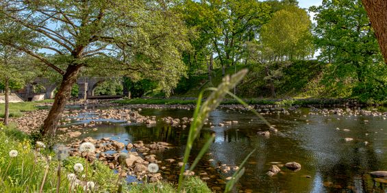 Tegelbruksvägen 5 - Foto 3