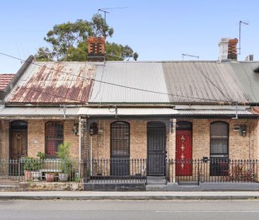 25 Mitchell Road, Alexandria NSW 2015 - Terrace For Rent | Domain - Photo 6