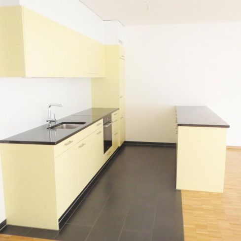 2.5 Zimmer, 77 m², 1. Stock - Foto 1