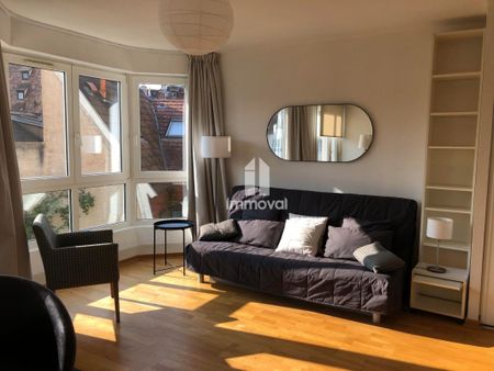 Location Appartement 1 pièce Meublé 30m² STRASBOURG 67000 - Photo 2