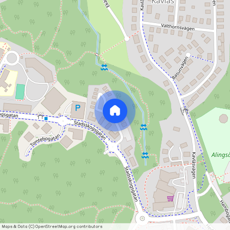 Bergakungsgatan, Alingsås