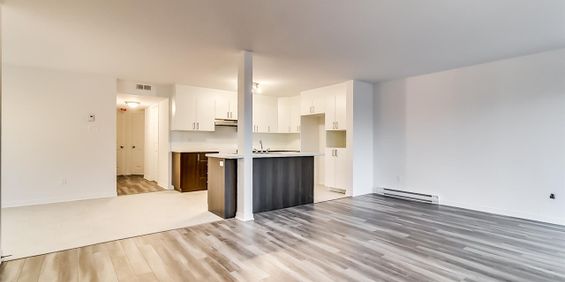 128 Rue Katimavik (Plateau) Magnifique 5 1/2 - Photo 3