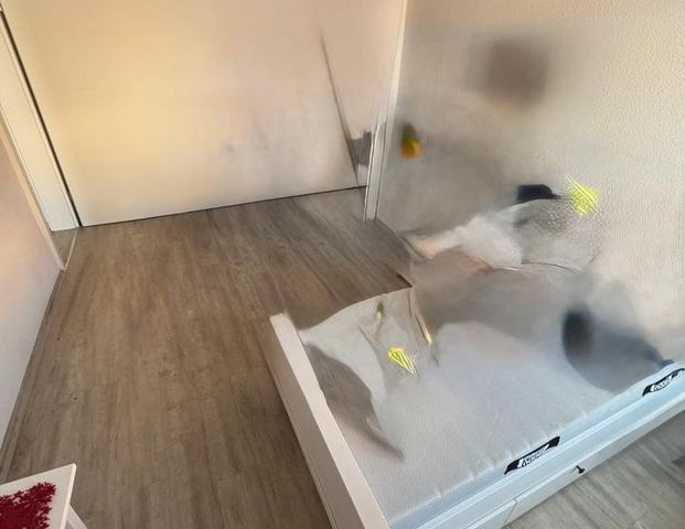 Studenten aufgepasst‼️Großzügige 1-Zimmerwohnung im Zentrum - Photo 1