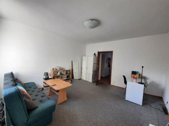 Długi Termin Zwierzęta Parking Gdynia Śródmieście - Photo 1