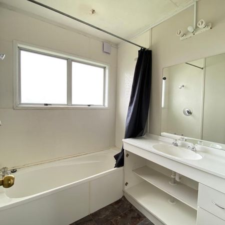 115 Poaka Avenue - Photo 3