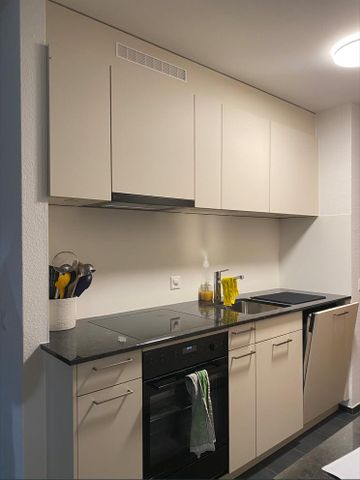 Neu sanierte Wohnung mit Blick ins Grüne zu vermieten - Foto 2