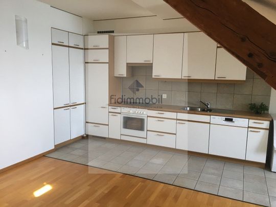 Beautiful apartment in the city center on the lake - Photo 1