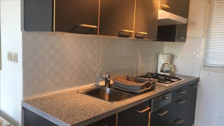 Location appartement, 3 pièces, 2 chambres, surface 52m² - Photo 4