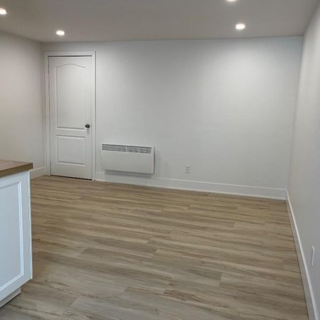 3 1/2 complètement neuf - Photo 4