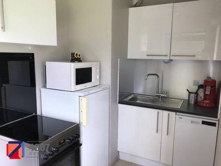 Location appartement 1 pièce 29.66 m² à Scionzier (74950) - Photo 4