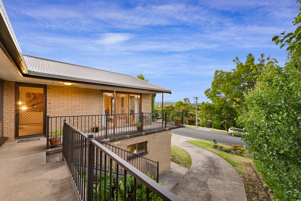 Large Family Home Situated In Sought After East Albury - Photo 1